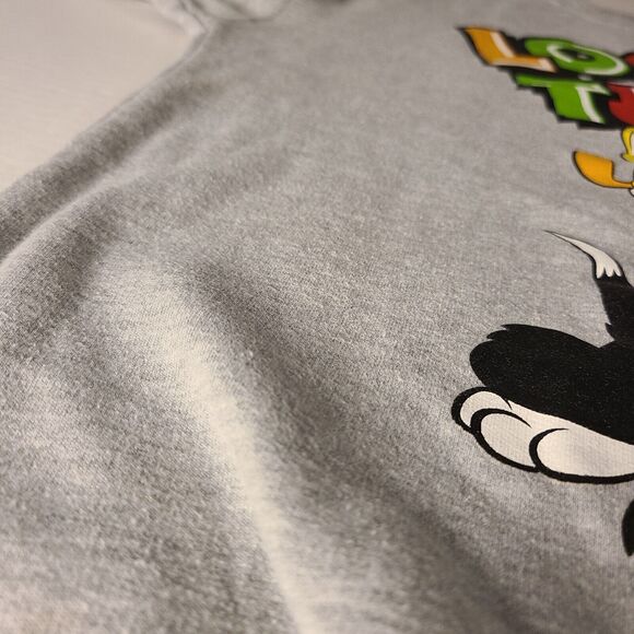 Looney Tunes Graphic Sweatshirt Juniors Large 11-13 Gray Crewneck Casual FLAWS - Picture 7 of 10